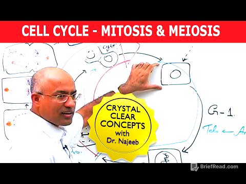 Cell Cycle and Genes | Mitosis & Meiosis