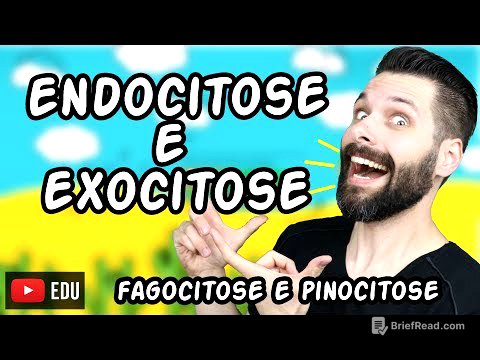 Endocitose (Fagocitose e Pinocitose) e Exocitose - Transporte por Vesículas | Biologia