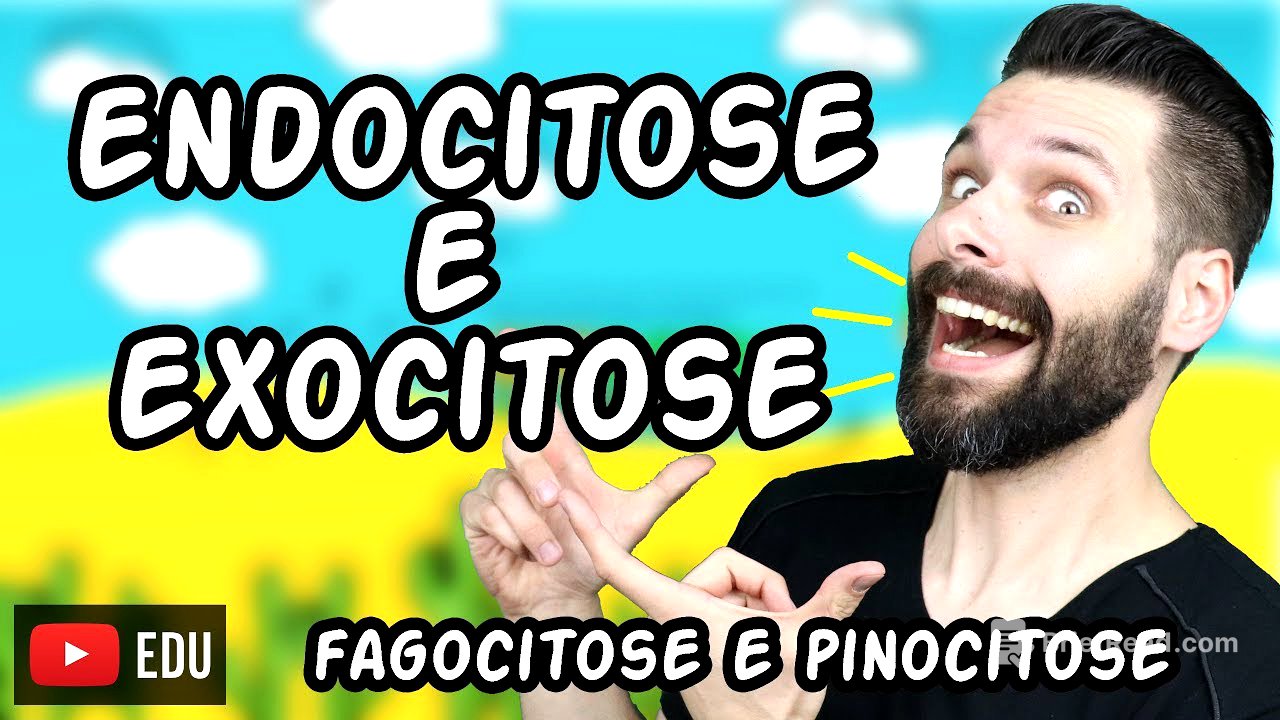 Endocitose (Fagocitose e Pinocitose) e Exocitose - Transporte por Vesículas | Biologia