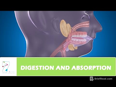 DIGESTION AND ABSORPTION