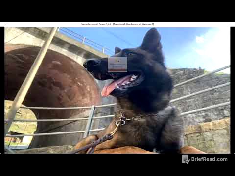 Obbedienza funzionale