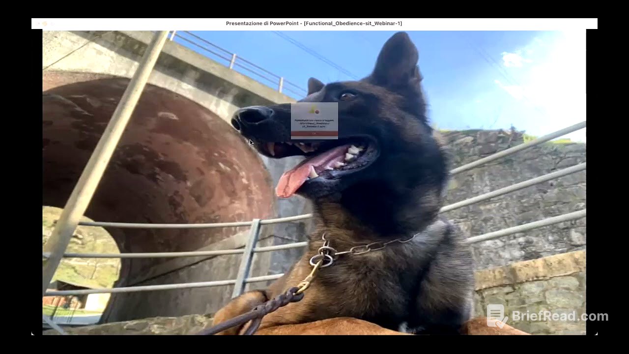 Obbedienza funzionale