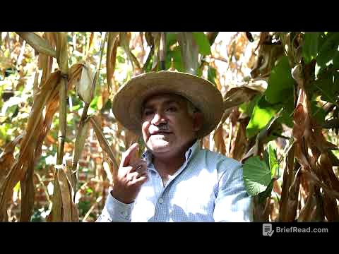 Hechos de Maíz - Documental Original