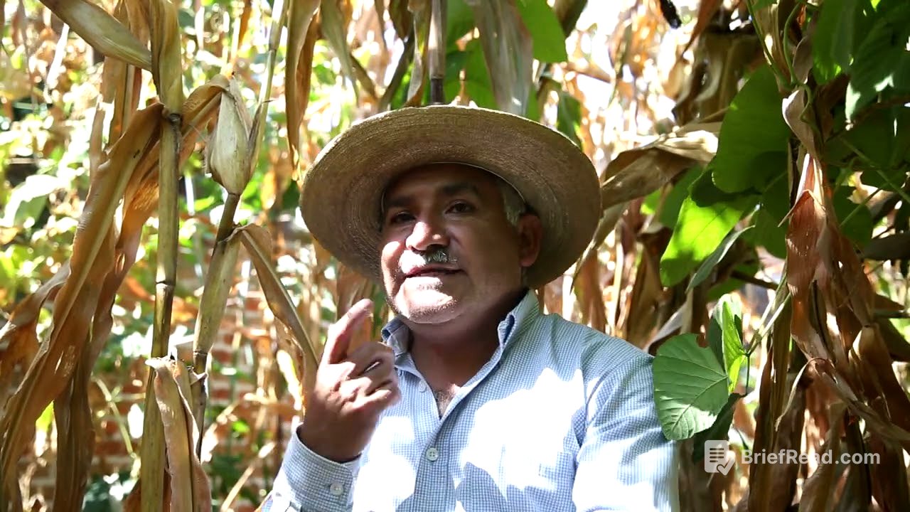 Hechos de Maíz - Documental Original