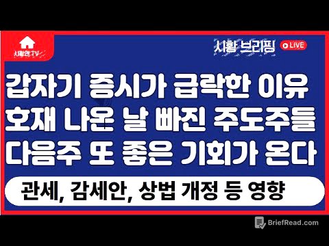 주식 시황. 증시. 갑자기 크게 하락한 이유. 호재 나온 날만 골라 하락한 주도주들, 의미는. 상법 개정, 관세, 감세 등 정책 영향은? 다음주 또 한 번 좋은 기회가 온다