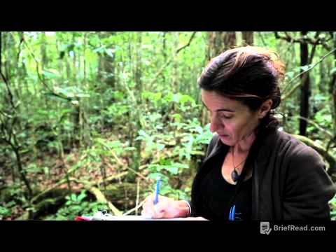 [NCTV] Les coulisses de la science - La forêt calédonienne