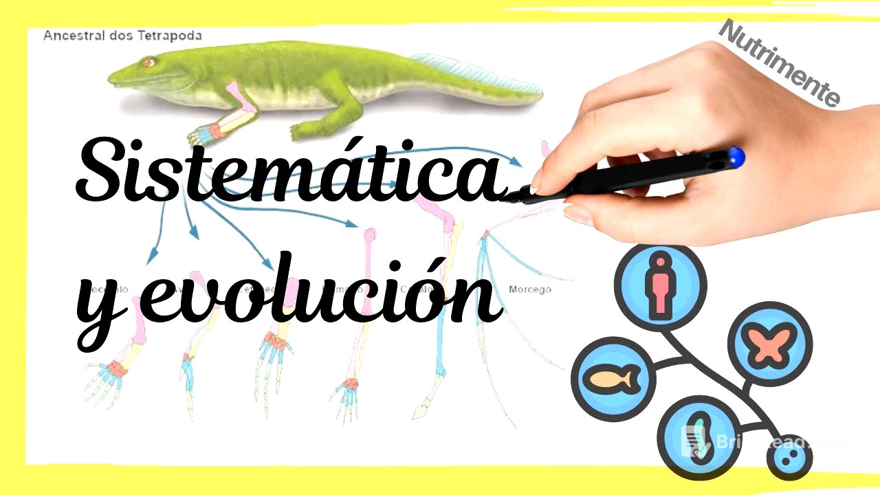 SISTEMÁTICA y EVOLUCIÓN