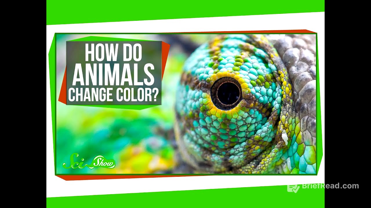How Do Animals Change Color?