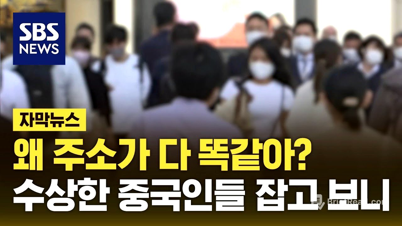 왜 주소가 다 똑같아?…수상한 중국인들 잡고 보니 (자막뉴스) / SBS