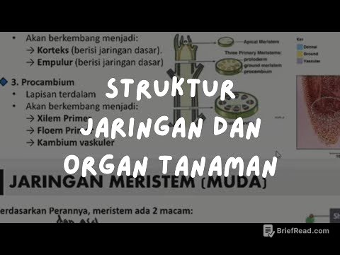 Kelas Inkubasi 020: Biologi - Struktur Jaringan dan Organ Tanaman
