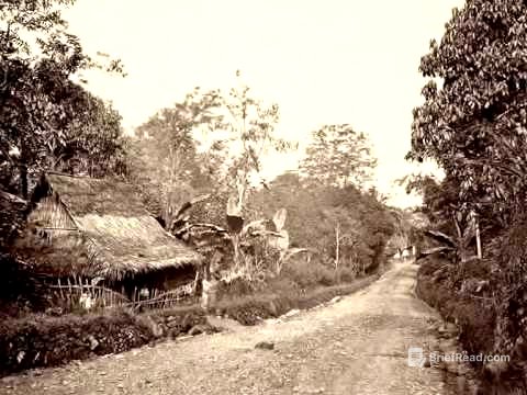 Jalan Anyer Panarukan (Jalan Raya Pos/Daendels)