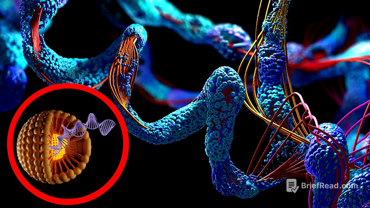 ¿Qué son las BIOMOLÉCULAS? Sus funciones, tipos y ejemplos🔬🧬