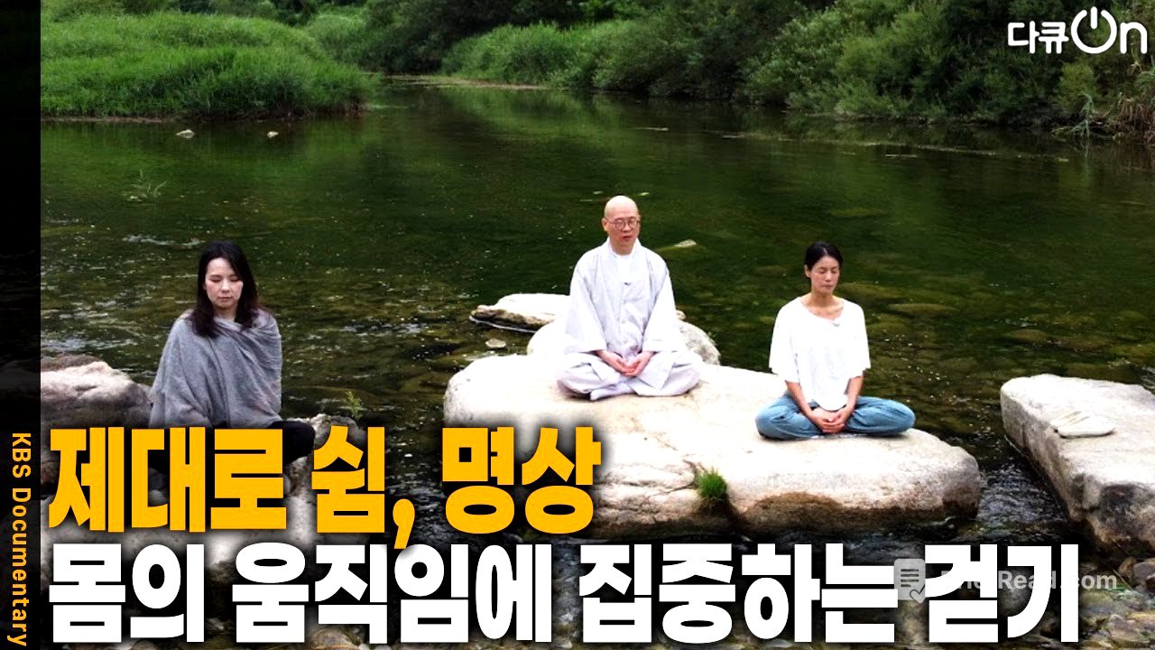 제대로 쉼, 몸의 움직임에만 집중하는 걷기 명상 [다큐ON-Docu ON] | KBS 250914 방송