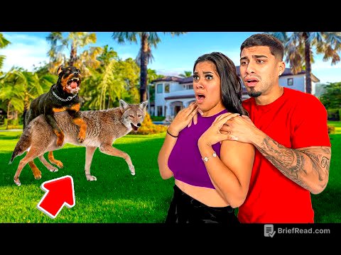 Our Dogs Got Into A Fight With a COYOTE! *caught on security footage*