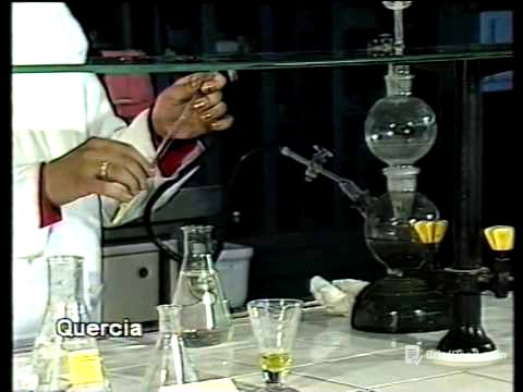 Reazioni chimiche reversibili ed equilibri chimici