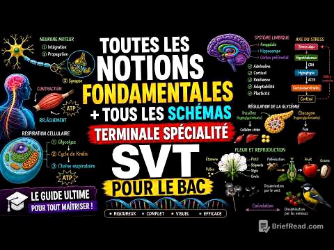 💥 SVT BAC : 100% des notions FONDAMENTALES à connaître + tous les schémas (Révision complète)