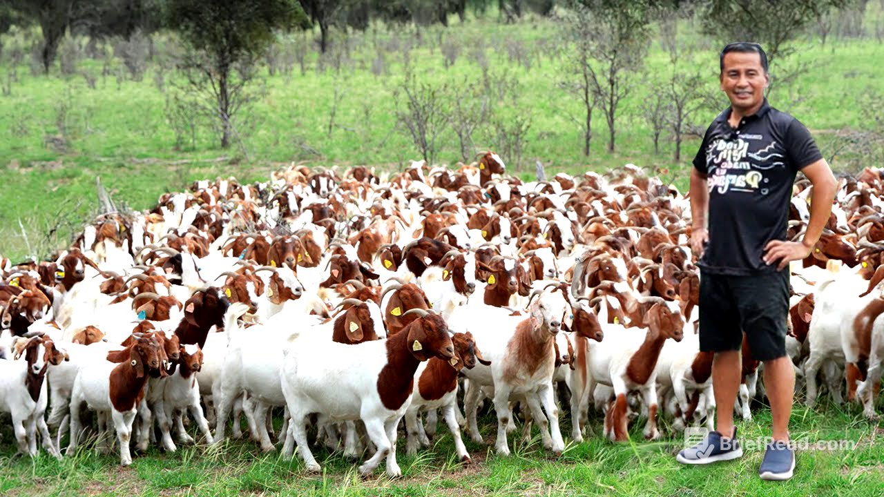 Why don't you need a big land to raise goats? Discover the untold secrets of successful goat farming
