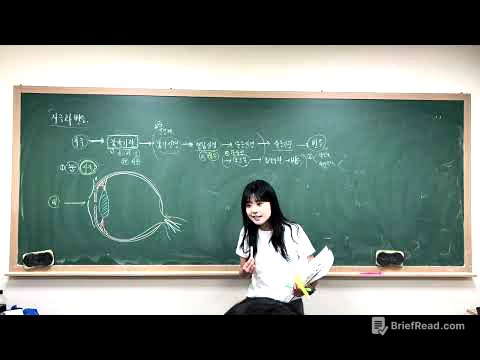 [중등과학3] 4-1. 감각기관