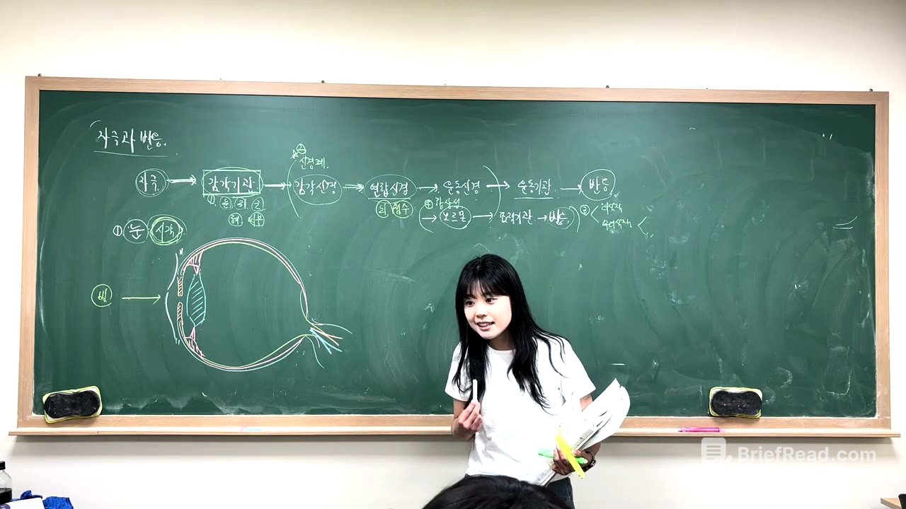 [중등과학3] 4-1. 감각기관