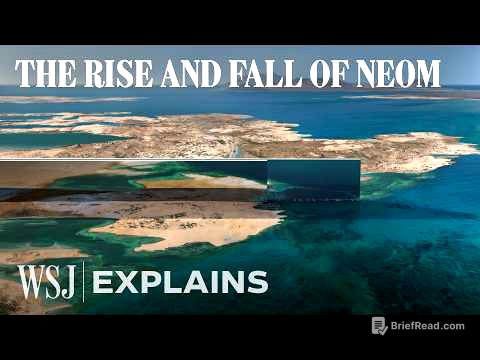 Why the World’s Largest Megaproject Collapsed | WSJ