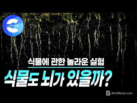 식물도 생각할 수 있는 '뇌'가 있을까? 🌿 | 식물의 기억력 | 지식채널e