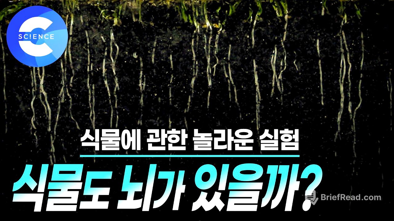 식물도 생각할 수 있는 '뇌'가 있을까? 🌿 | 식물의 기억력 | 지식채널e