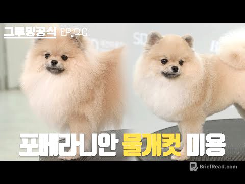 강아지야 물개야? | 그루밍공식시즌2 EP20 | 포메라니안 물개컷 미용 | Pomeranian Grooming