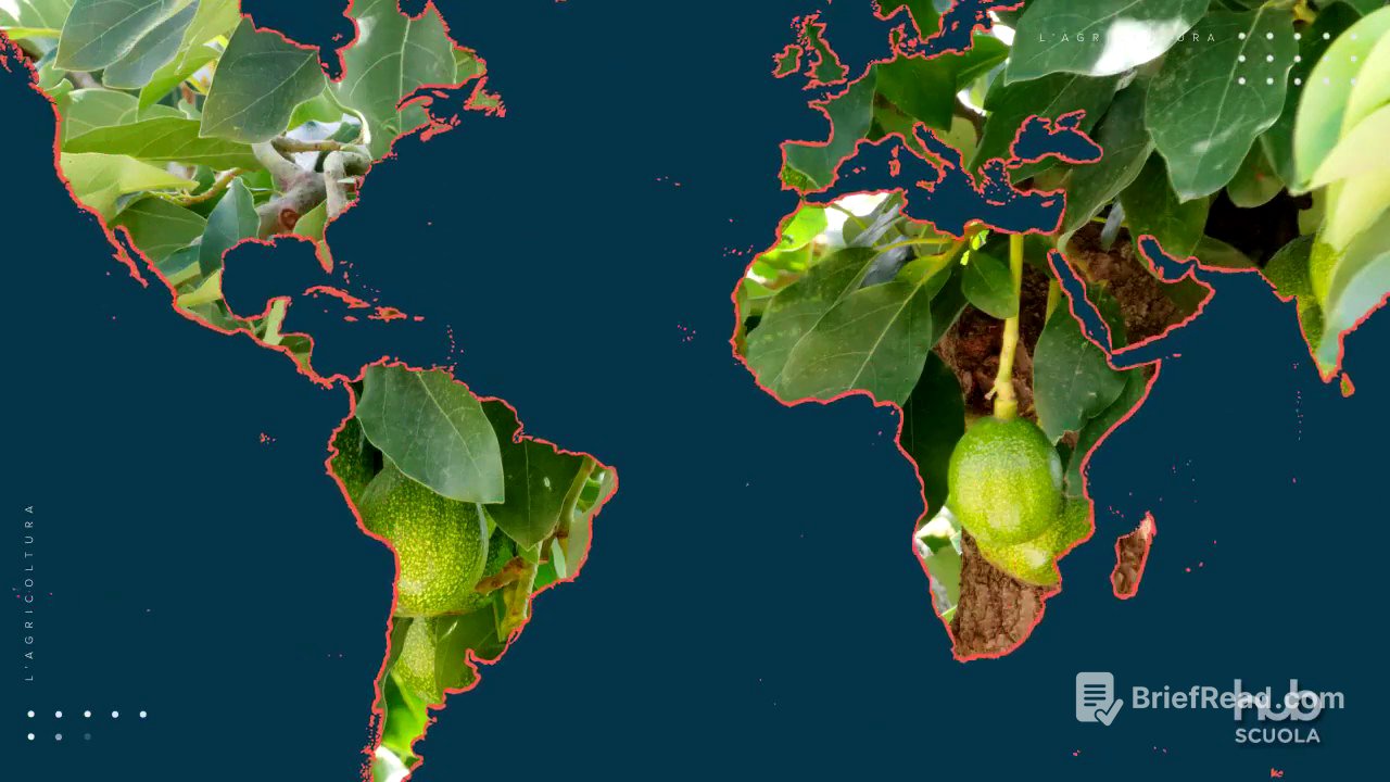 Storia e ambiente - Com'è cambiata l'agricoltura nel tempo?