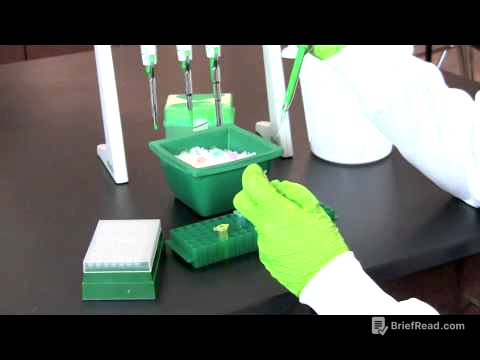 Restriction Digestion of DNA