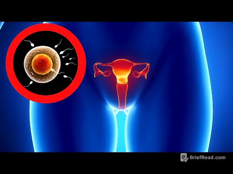 El APARATO REPRODUCTOR FEMENINO explicado: sus partes y funcionamiento👩‍🏫