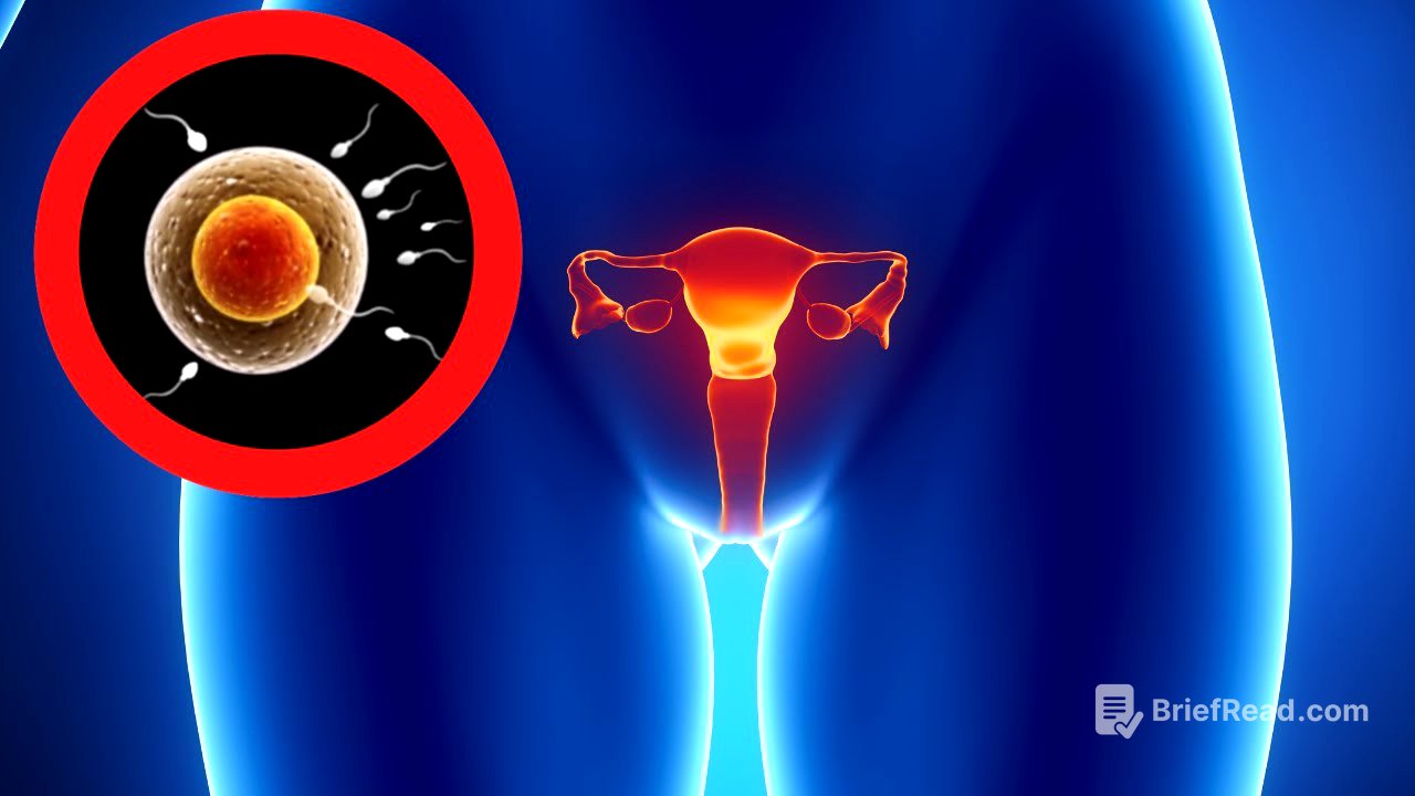 El APARATO REPRODUCTOR FEMENINO explicado: sus partes y funcionamiento👩‍🏫