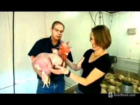 LGDDF pollos sin plumas