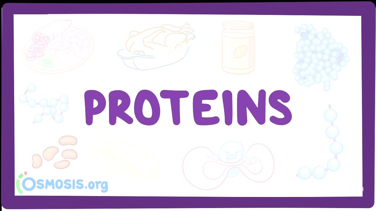 Proteins