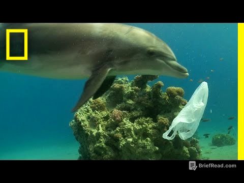How We Can Keep Plastics Out of Our Ocean | National Geographic