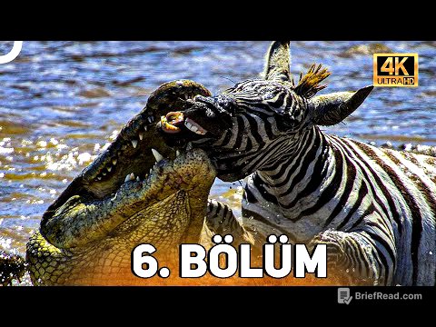 VAHŞİ SERÜVEN 6. BÖLÜM | 4K HAYVAN BELGESELİ