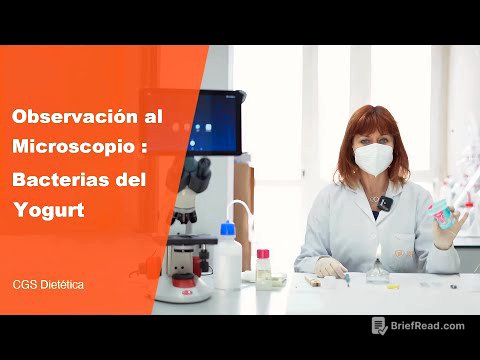 Observación al microscopio bacterias del yogurt