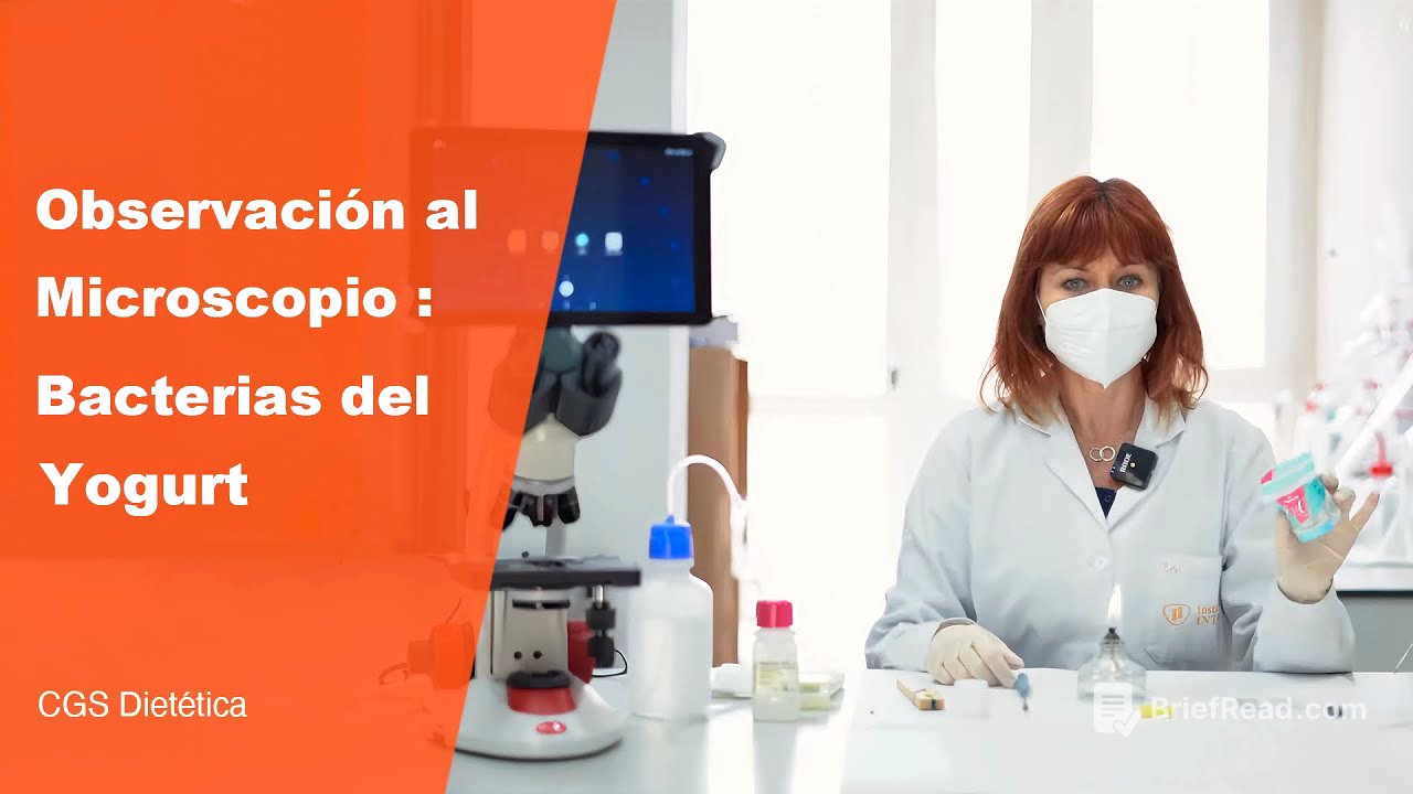 Observación al microscopio bacterias del yogurt