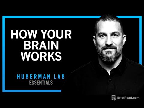 Essentials: How Your Brain Works & Changes