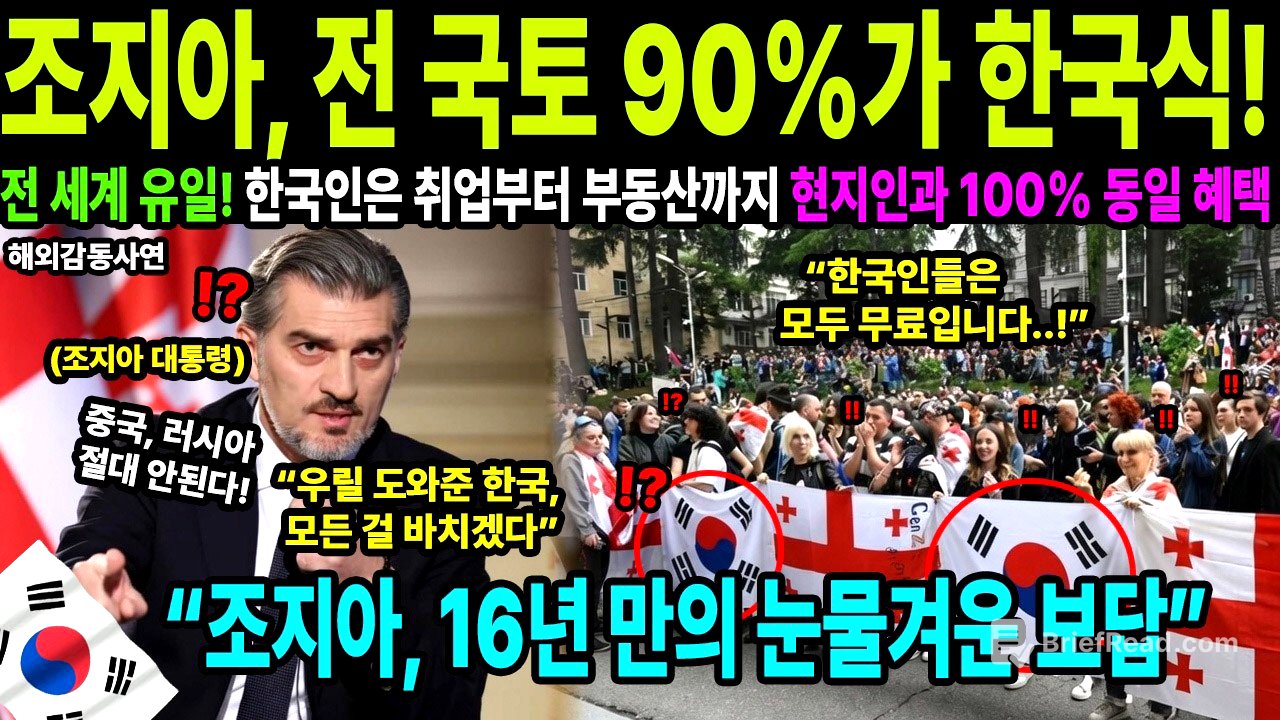 [해외감동사연] 대한민국이 조지아에 심은 15조 원의 기적! 전 국토를 한국 기술로 뒤덮은 충격적인 이유