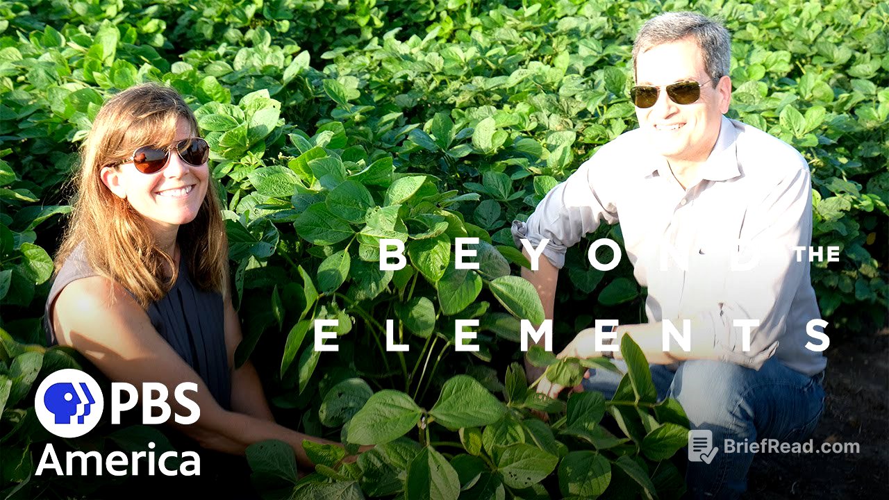 Beyond The Elements - Life (2021) | Full Documentary | NOVA