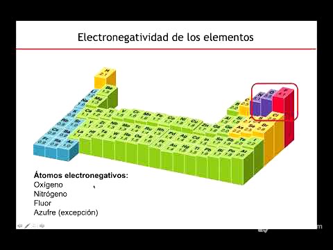 Agua - Biología Celular y Tisular