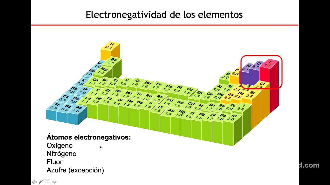 Agua - Biología Celular y Tisular
