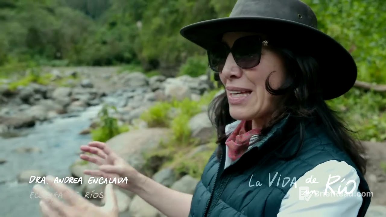 La vida de un río   2024