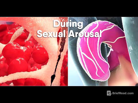 Short track-Do you know what happens During sexual arousal inside the body? what is the clitoris?