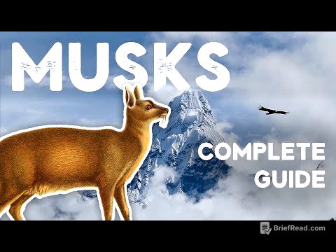 Musk in perfume - A guide for perfumers