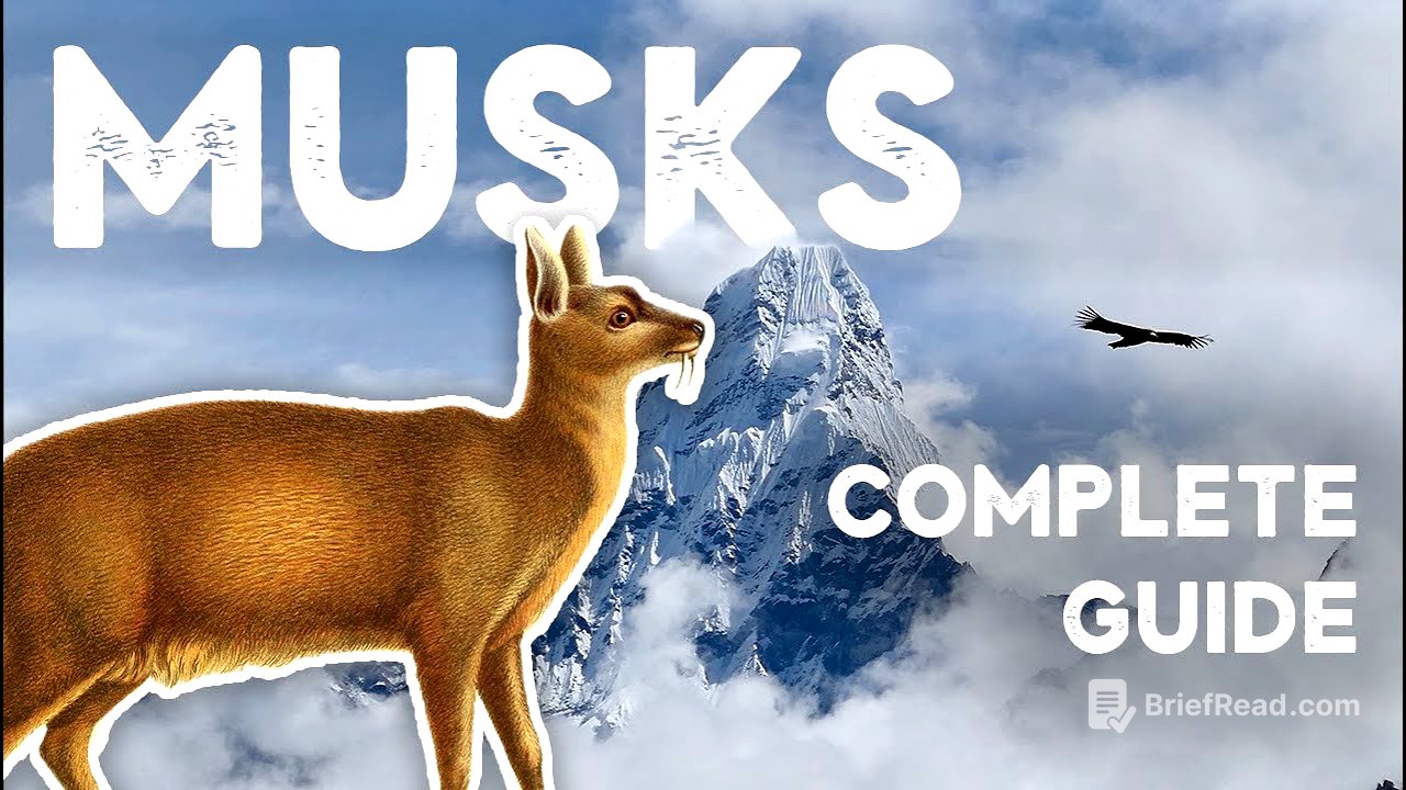 Musk in perfume - A guide for perfumers