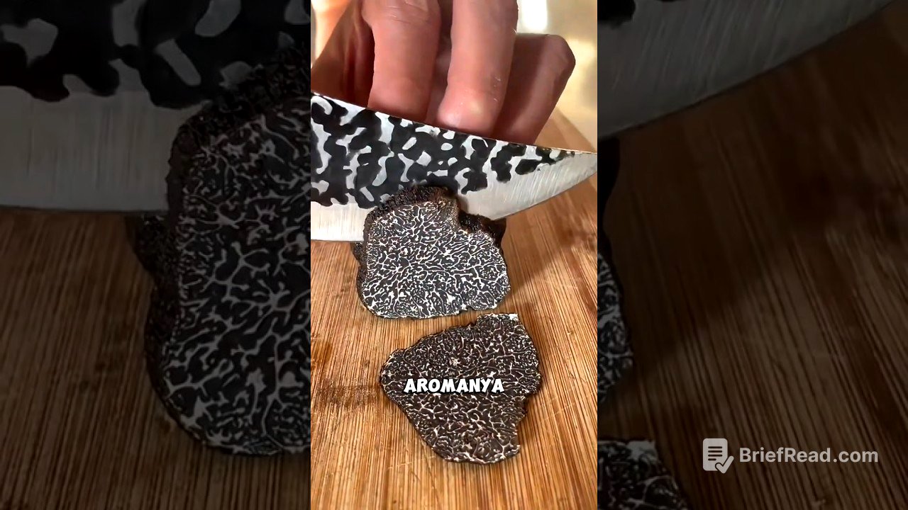 Jamur Seharga Miliaran! Ini Truffle, Si Jamur Sultan! #FaktaUnik #JamurTruffle  #shortsviral