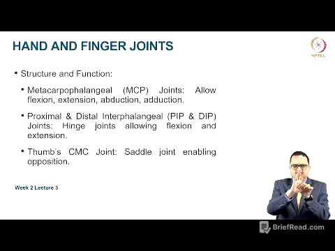Functional Anatomy of Upper extremity