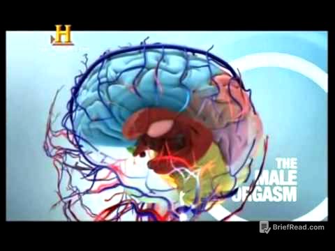 bases biológicas de la conducta sexual