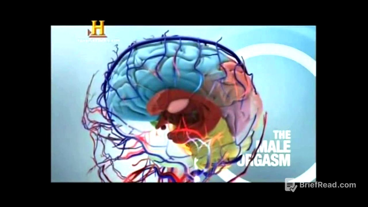 bases biológicas de la conducta sexual